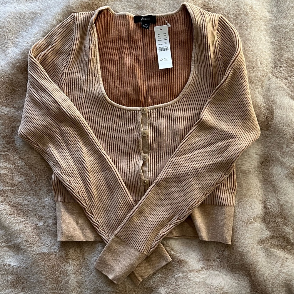 JCrew sweater